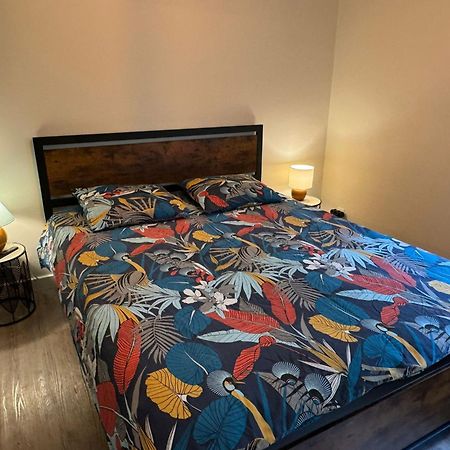 Residence Bois Du Bouchet, Appartement Vue Montagne, Calme, Parking Gratuit, Proche Centre Chamonix Zewnętrze zdjęcie