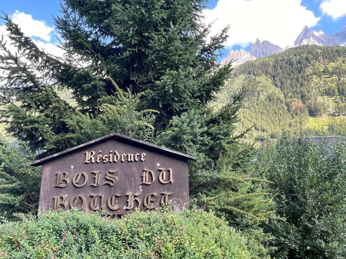 Residence Bois Du Bouchet, Appartement Vue Montagne, Calme, Parking Gratuit, Proche Centre Chamonix Zewnętrze zdjęcie