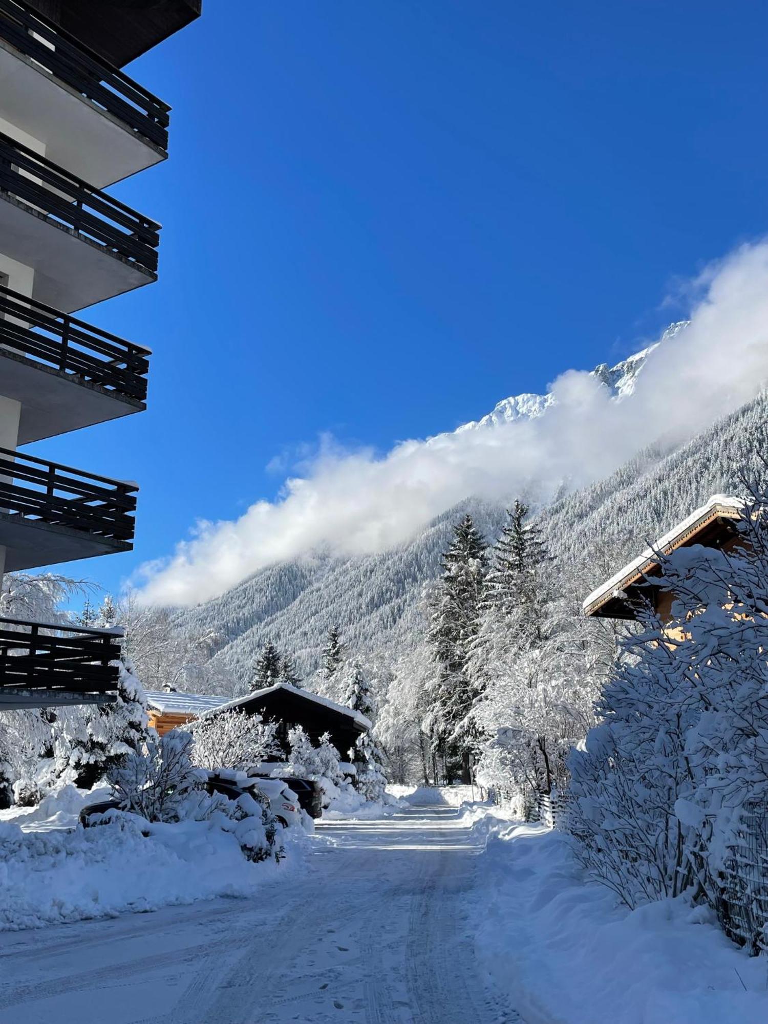 Residence Bois Du Bouchet, Appartement Vue Montagne, Calme, Parking Gratuit, Proche Centre Chamonix Zewnętrze zdjęcie