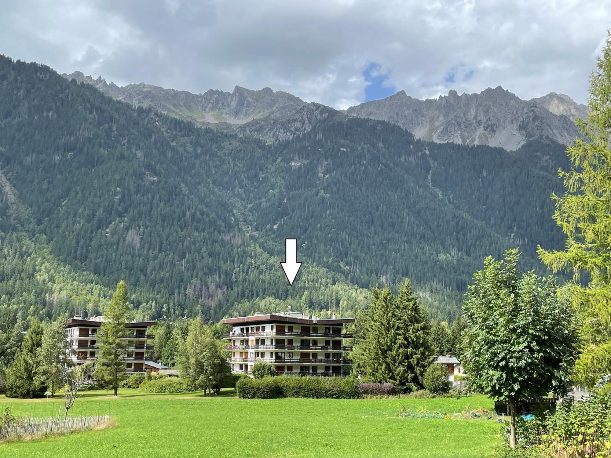Residence Bois Du Bouchet, Appartement Vue Montagne, Calme, Parking Gratuit, Proche Centre Chamonix Zewnętrze zdjęcie