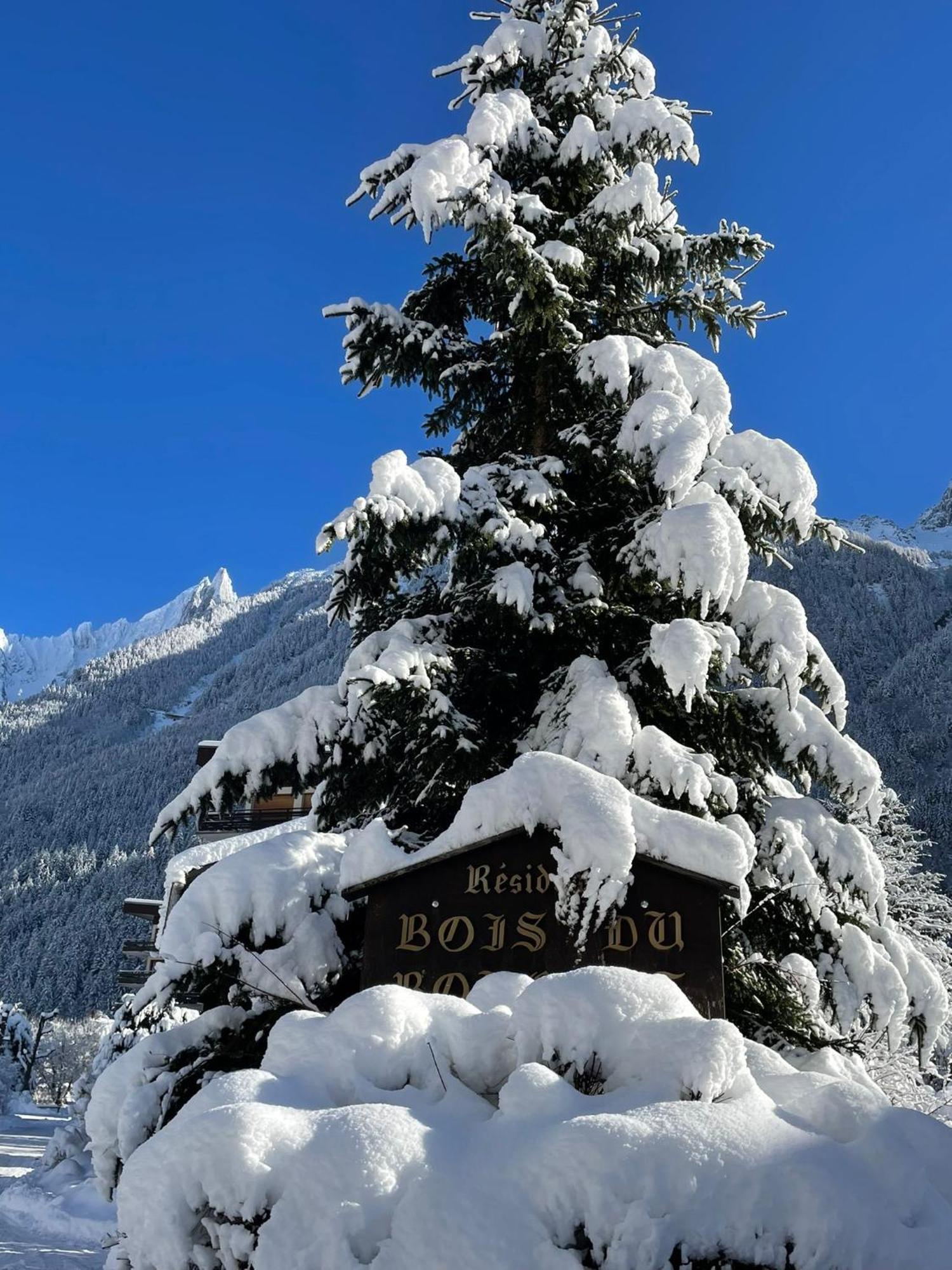 Residence Bois Du Bouchet, Appartement Vue Montagne, Calme, Parking Gratuit, Proche Centre Chamonix Zewnętrze zdjęcie